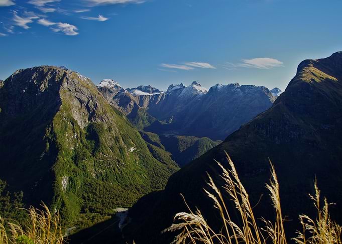 Milford Track Day 3