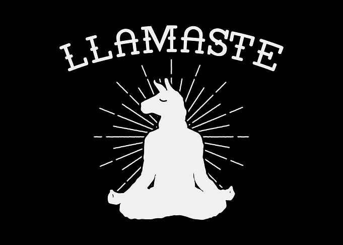 Llamaste Llama Yoga