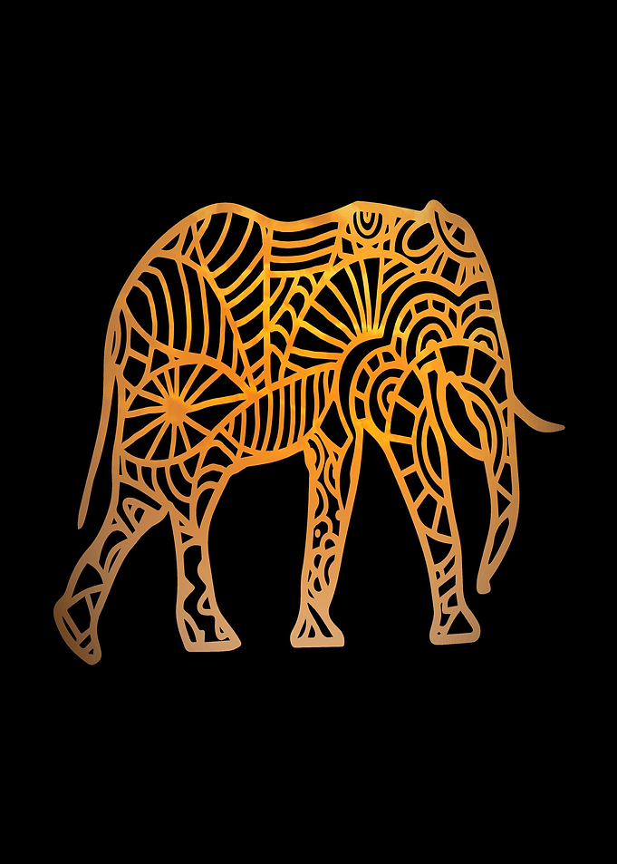 Elephant Mandala drawing