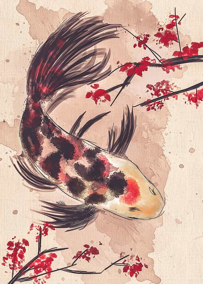 Koi Fish