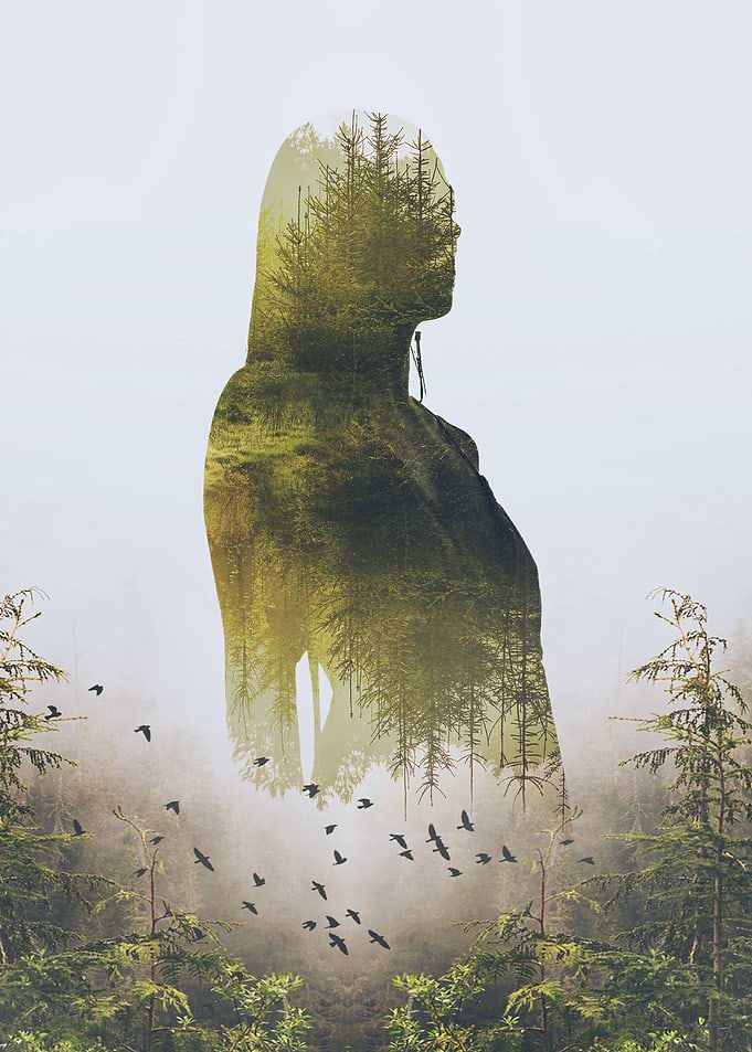 The Shape of Nature