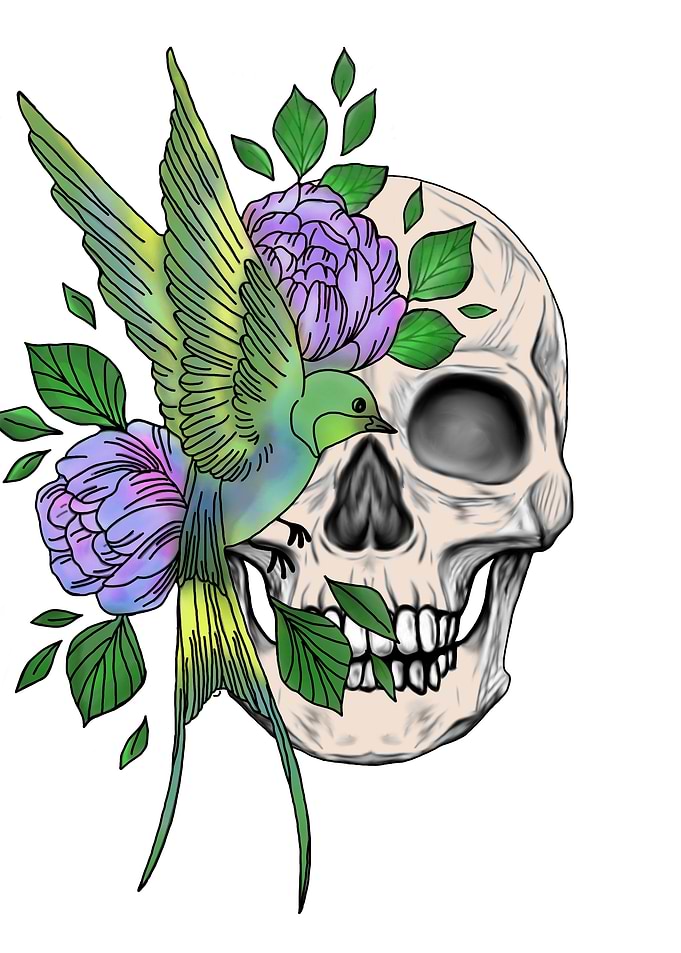 Skull