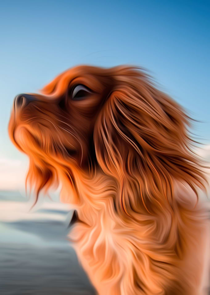 Cute Cocker Spaniel