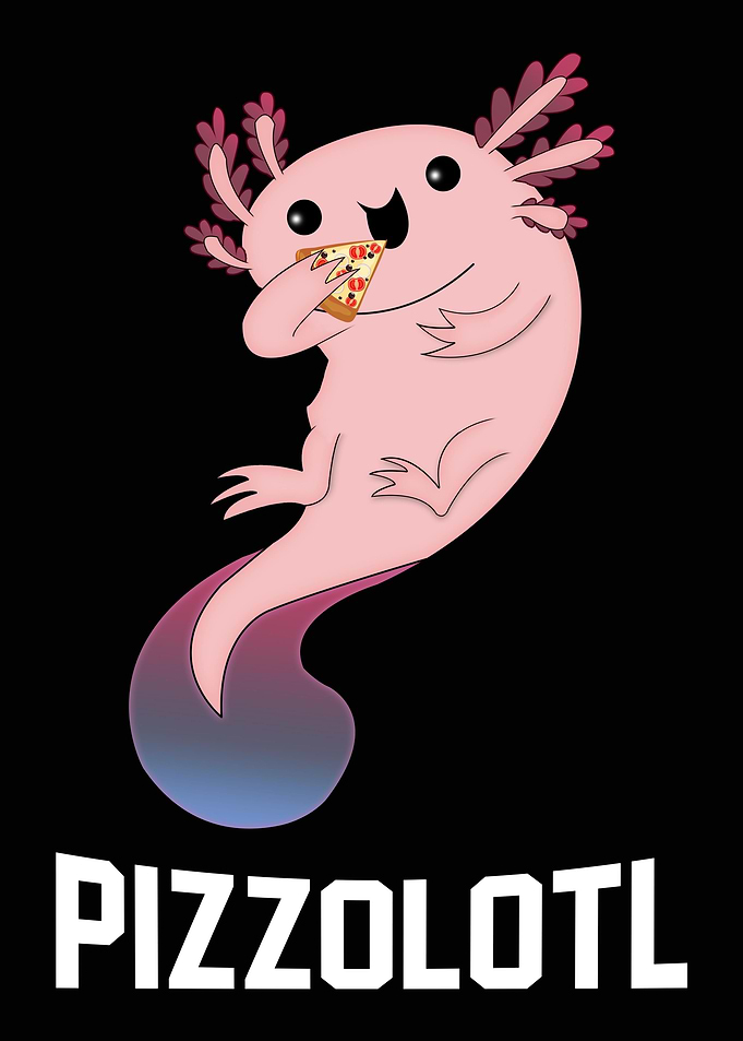 Funny Axolotl Gift