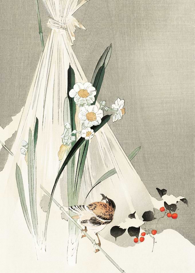 A bird with narcissus