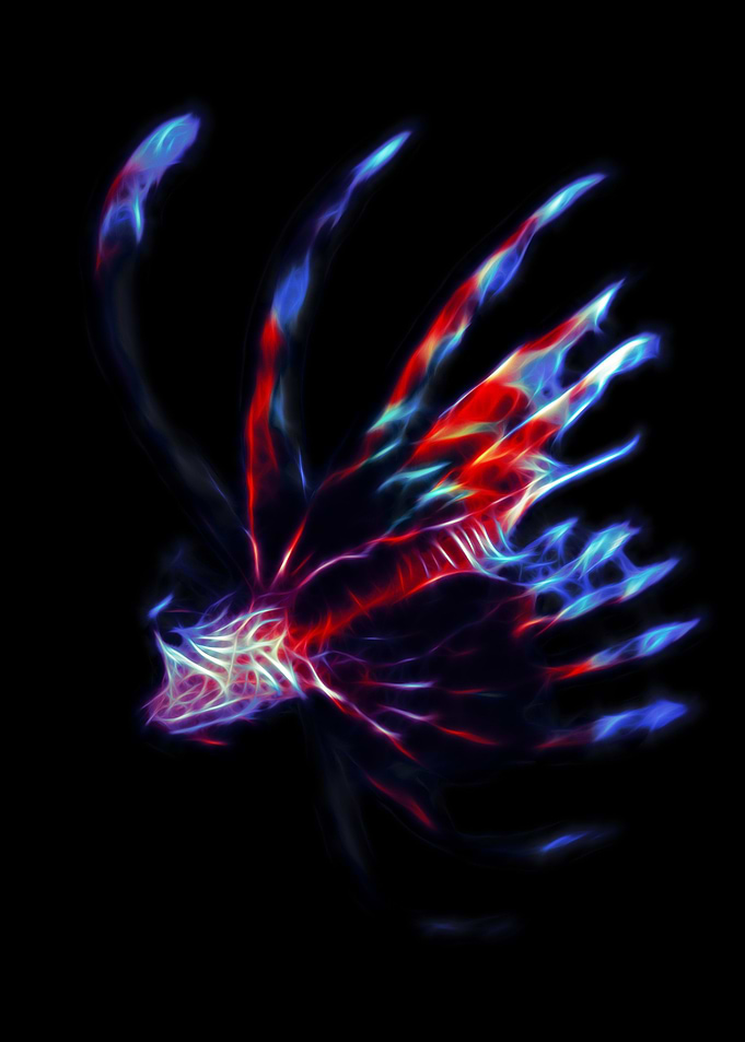 abstract lionfish