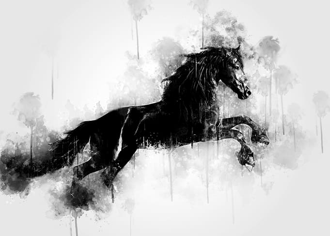 Horse Jumping BW