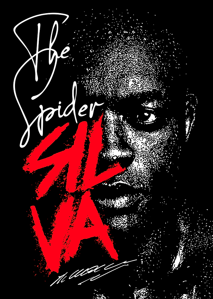 UFC MMA Anderson Silva
