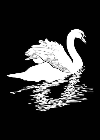 white goose