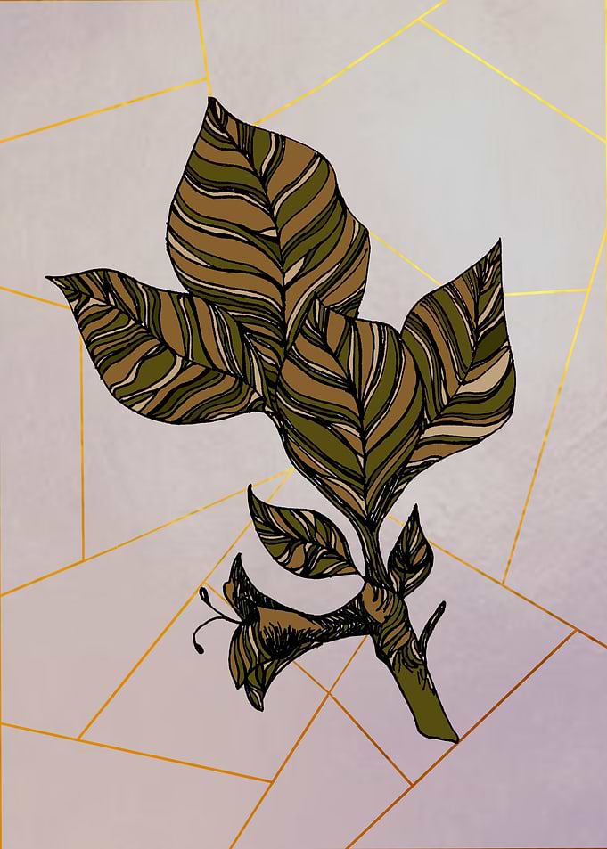 Brown leaves