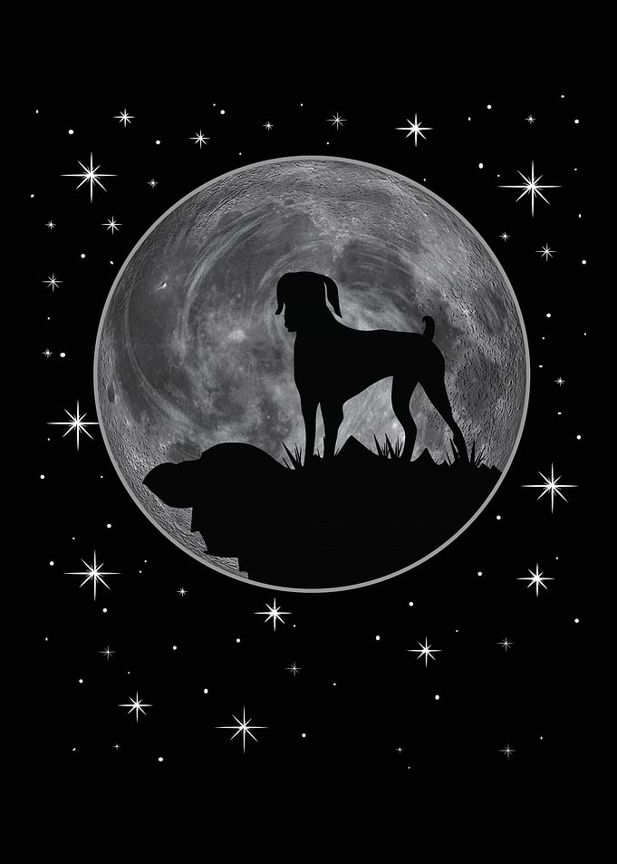 German Shorthair Pointer