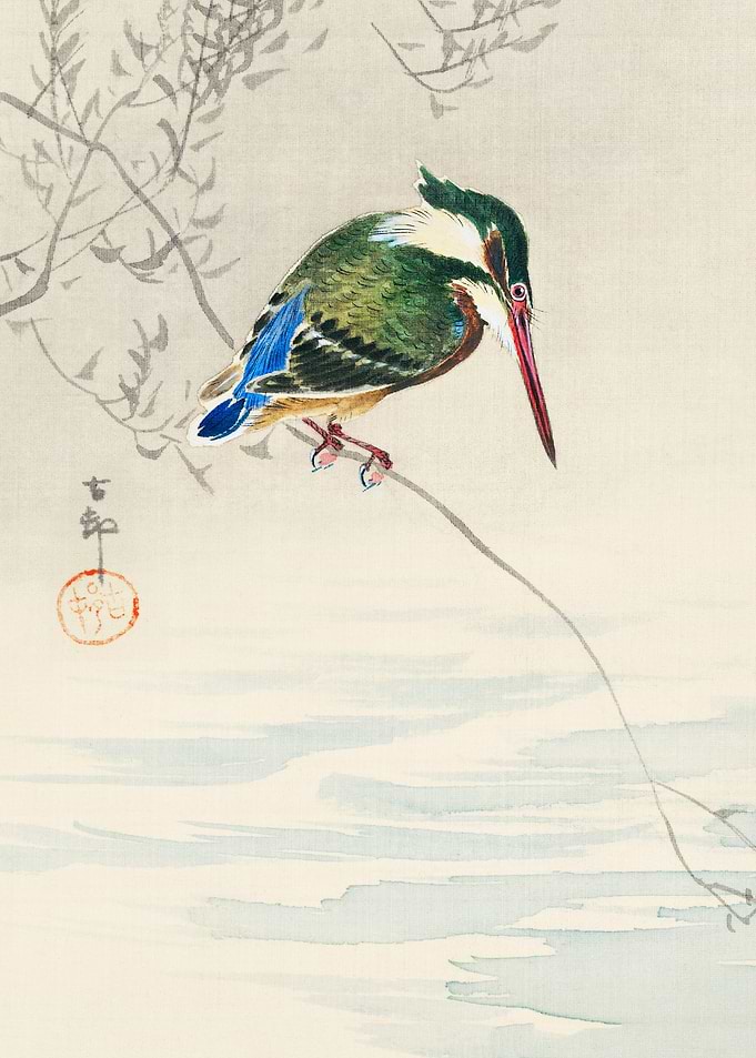A kingfisher