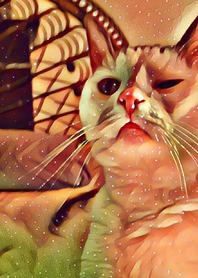 Galaxy Cat