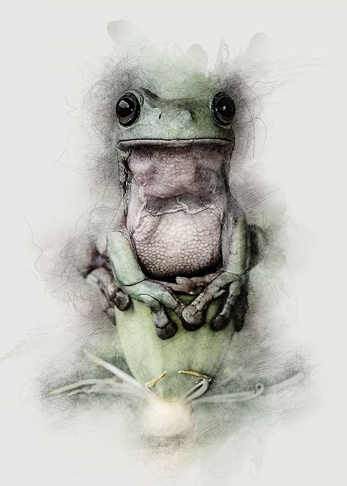 Froggy