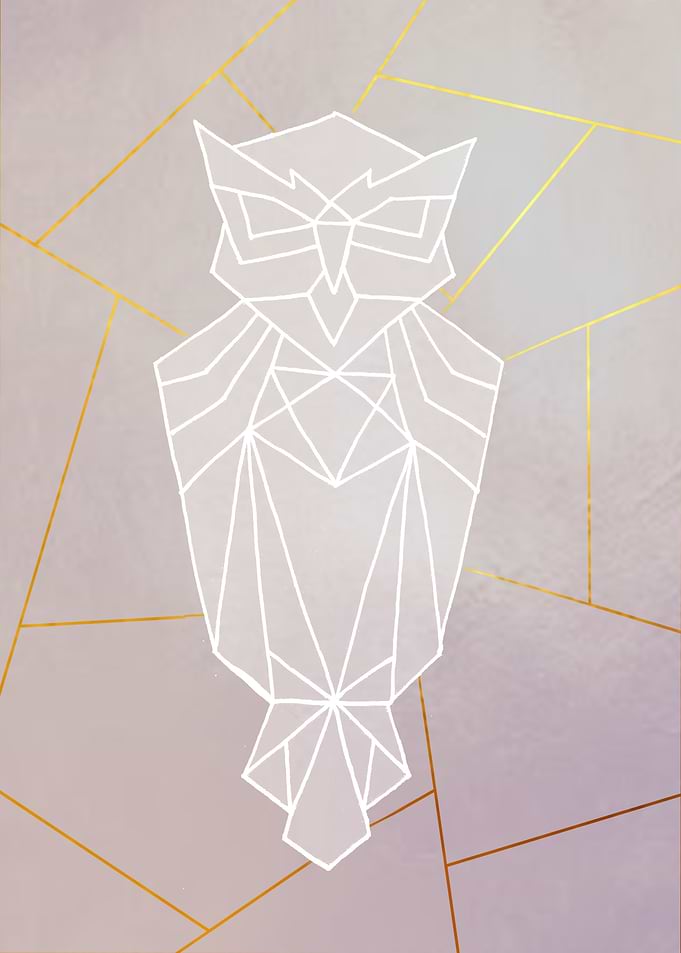 owl lines