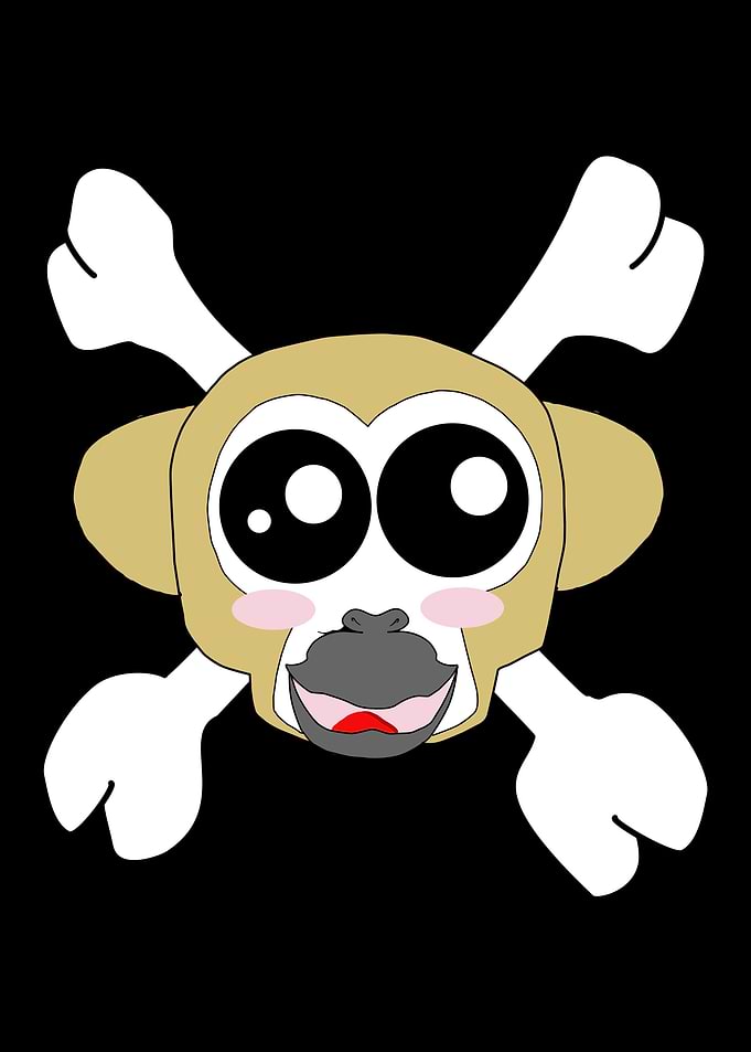 Monkey Squirrel monkey Sku