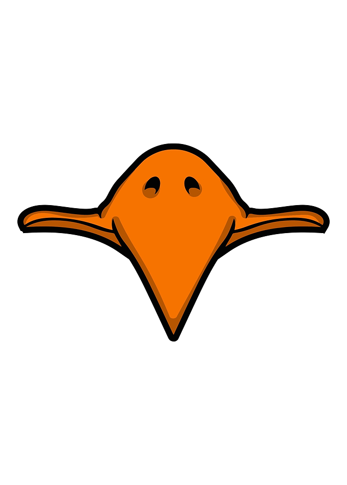 bird Face art beak cute