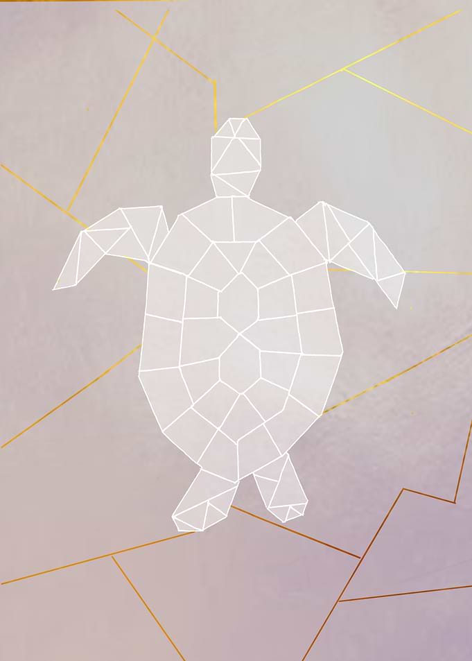 turtle lines