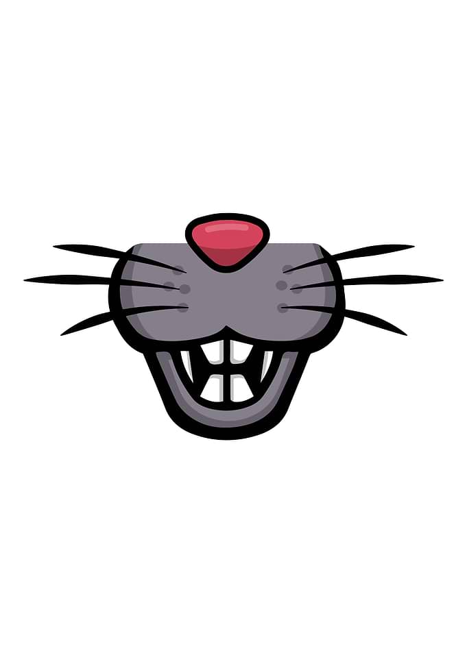 rat mouse Face mustache