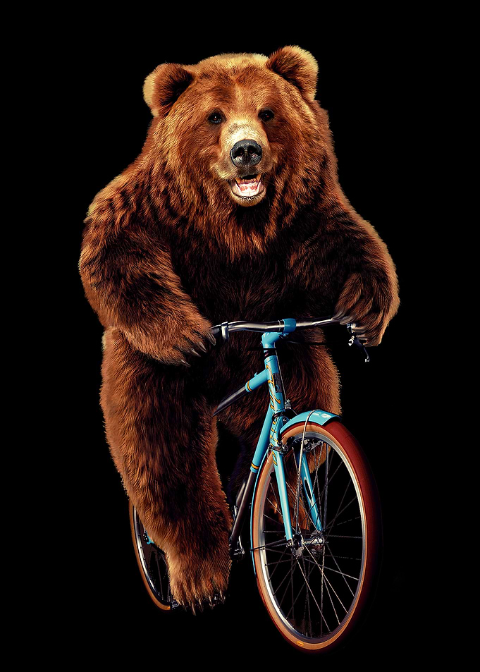 Grizzly Bear Ride Bicycle