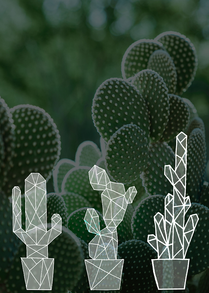 Green cactus