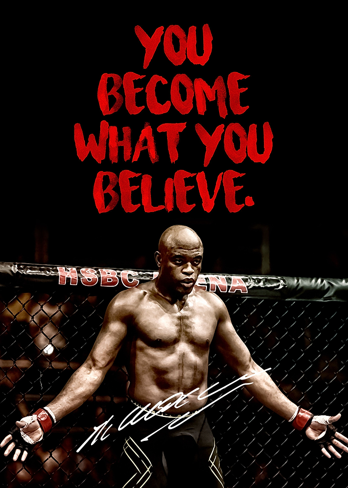 UFC MMA Anderson Silva