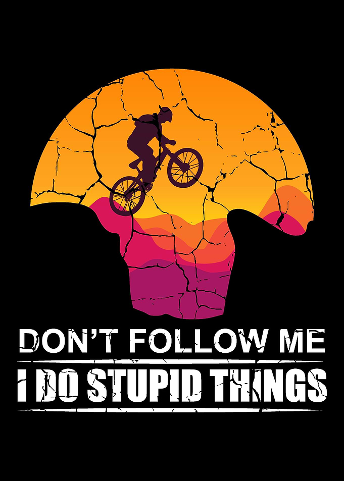 Dont Follow Me I Do Stupi