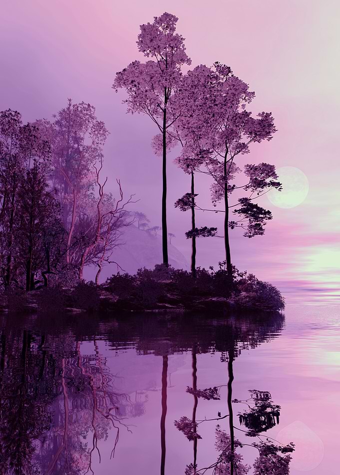 Purple Grove