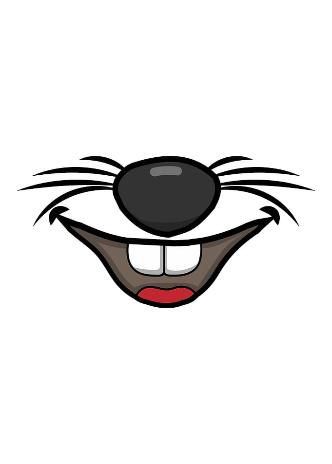 rat mouse Face mustache