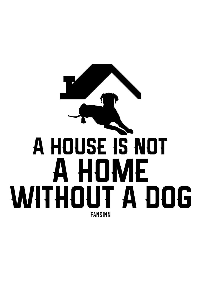 Pet dog friend Gassi Wauwa
