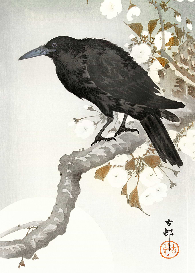 A crow and the full moon