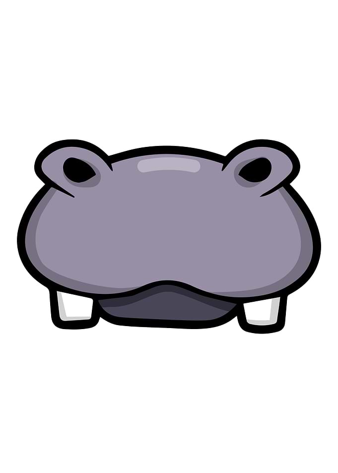 hippo hippopotamus Face