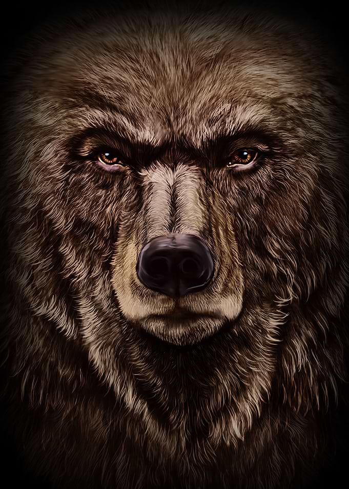 Grizzly Bear Close Up