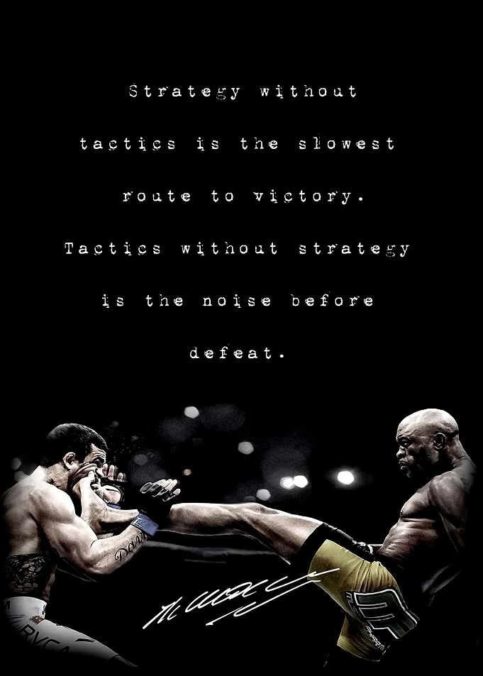 UFC MMA Anderson Silva