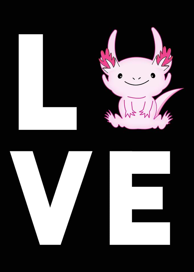 Funny Axolotl Gift