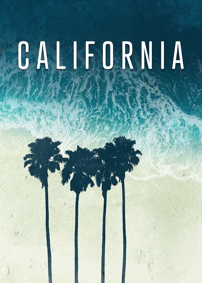 California Palm Tree