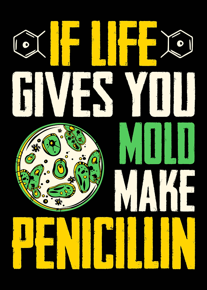Microbiology Penicillin