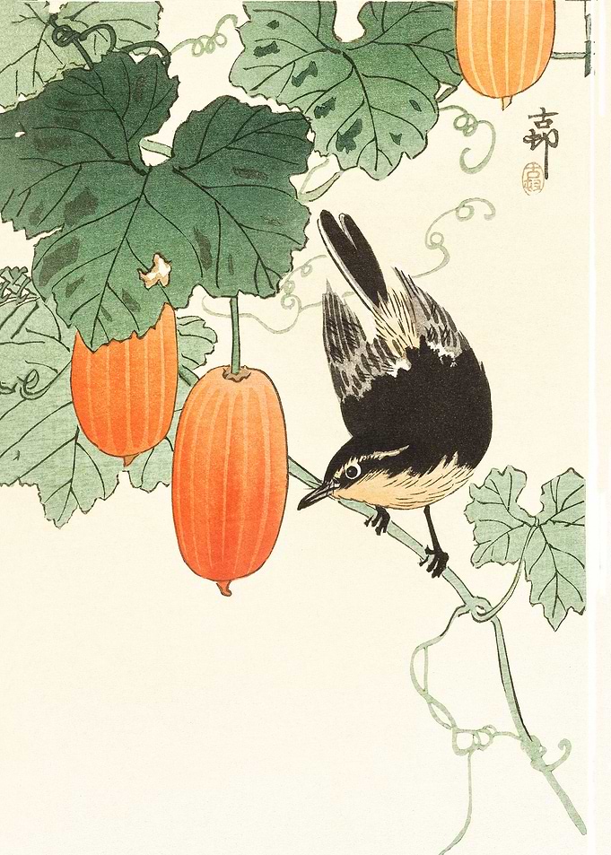 Bird and khaki