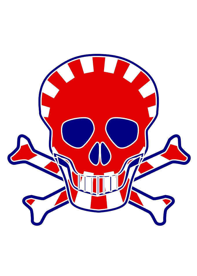 Japanese Flag Skull