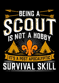 Scout Survival Skill