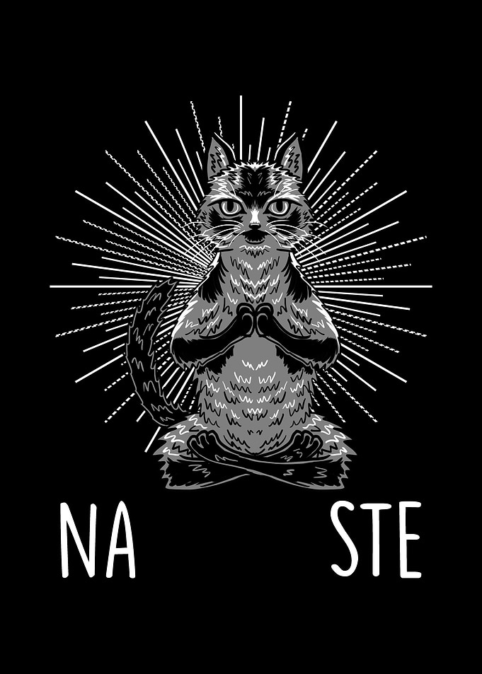 Nameowste Cat Lotus Pose