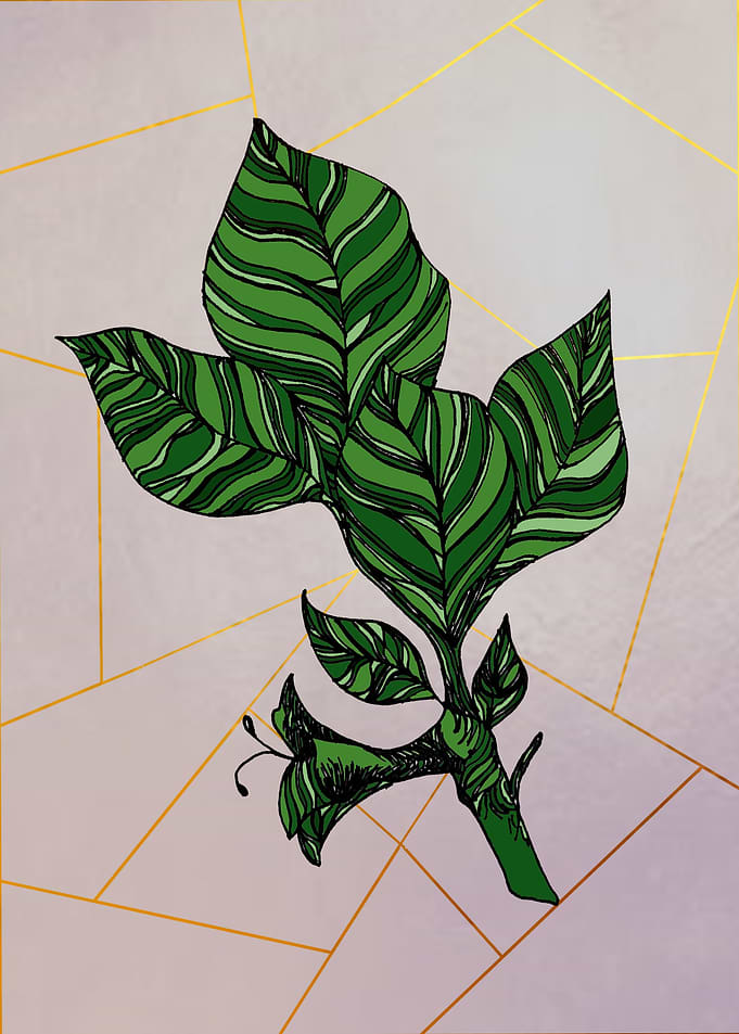 Green leaves