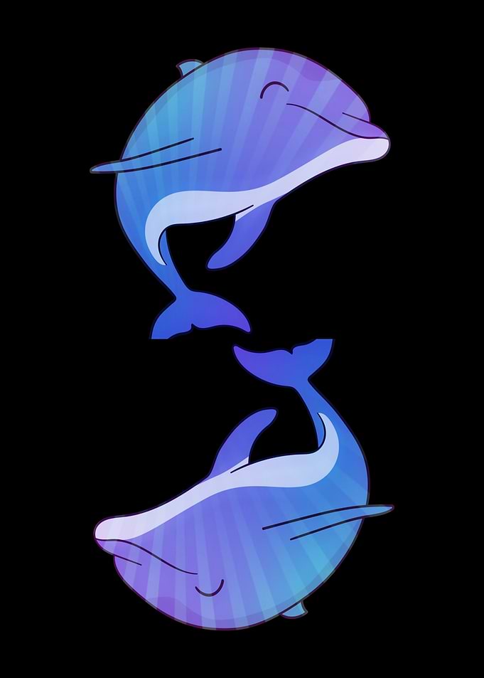 Beautiful dolphin animal
