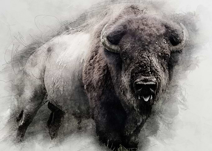 Mighty Buffalo