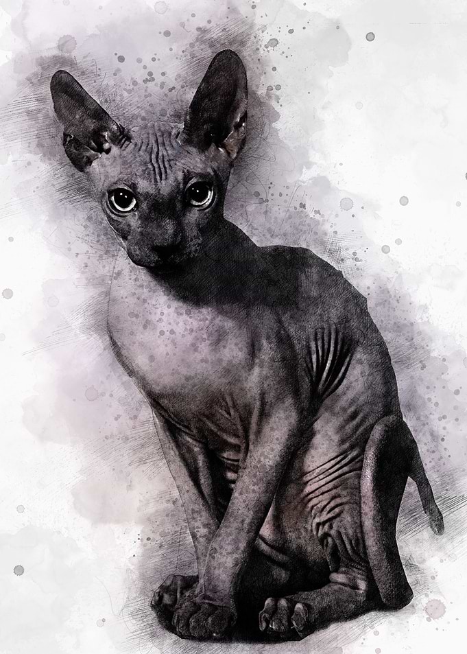 The Sphinx