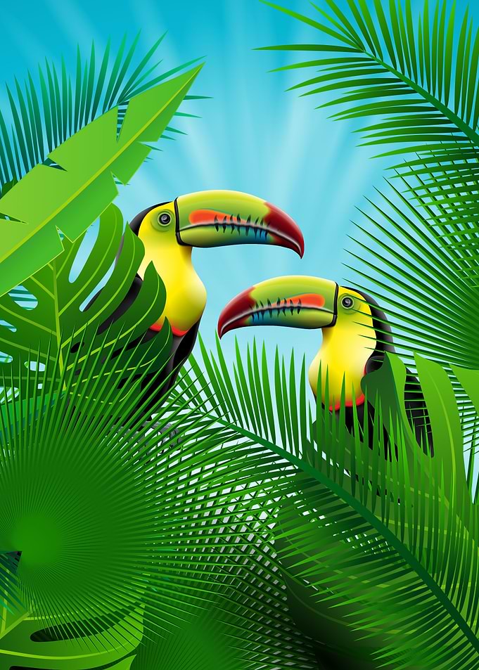 palm leaves
