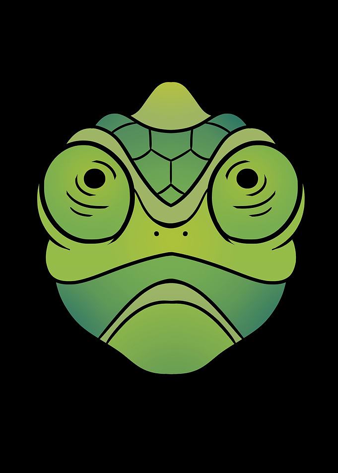 Chameleon Reptile Iguana
