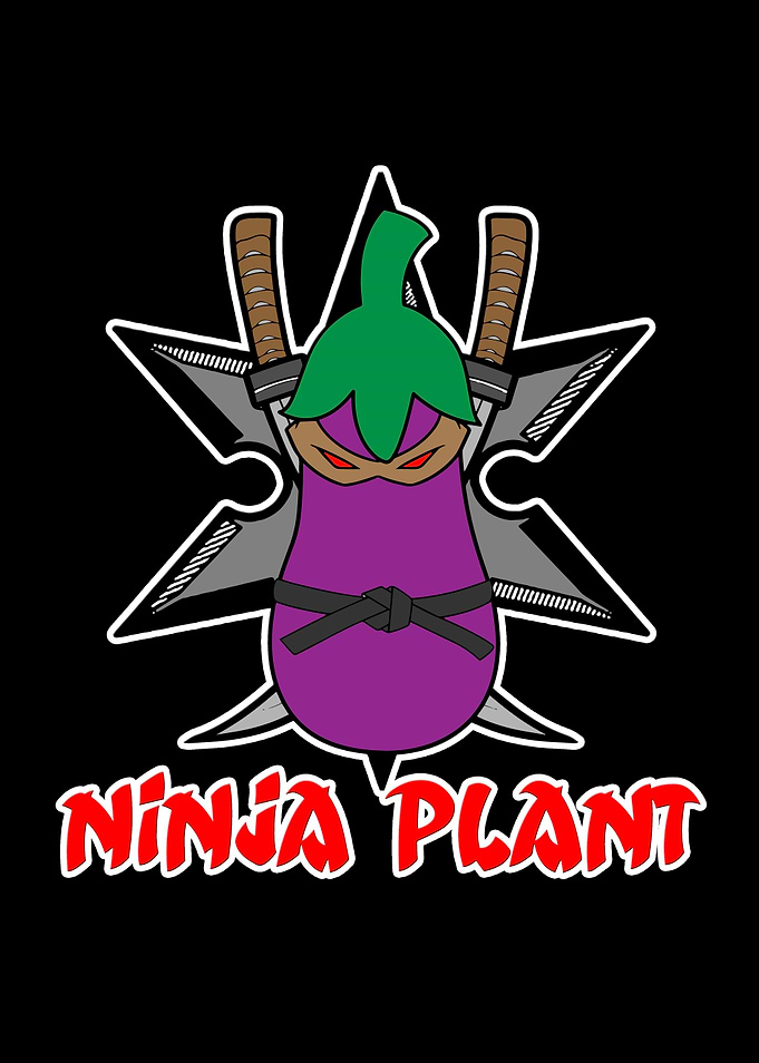 Ninja Plant Eggplant
