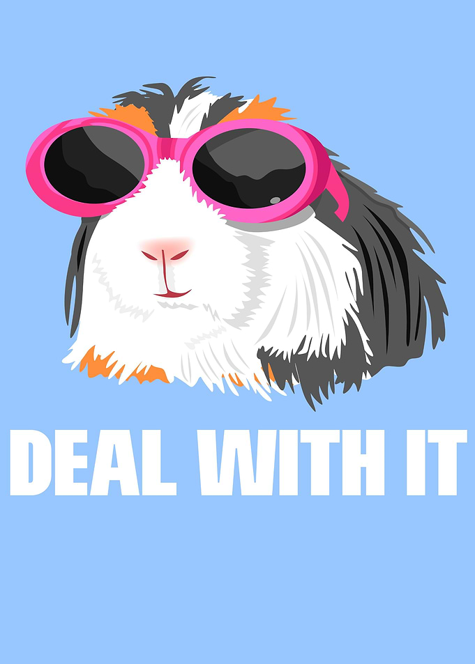 Crazy Guinea Pig