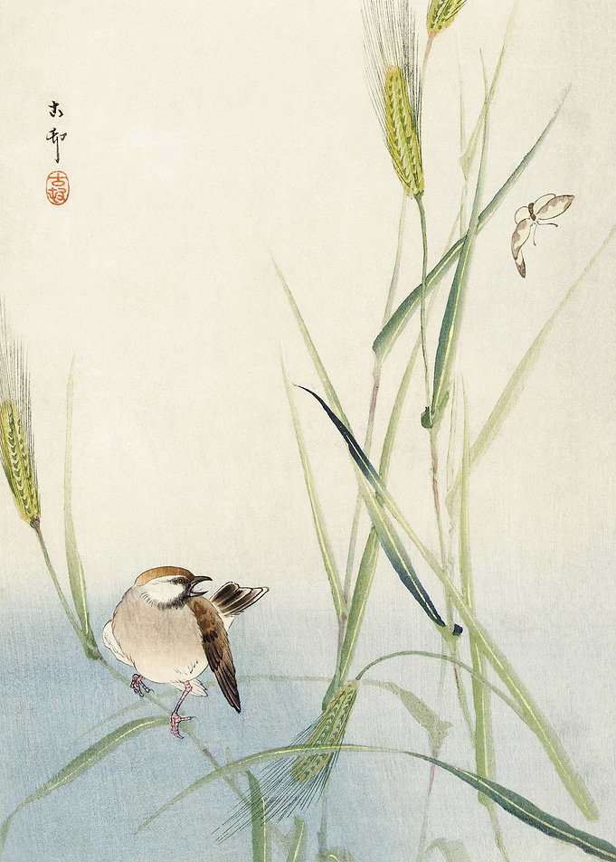 Bird and butterfly